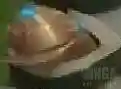 云顶之弈新手搭配什么阵容插图4