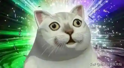 肉铠搭配什么阵容打野好打插图10