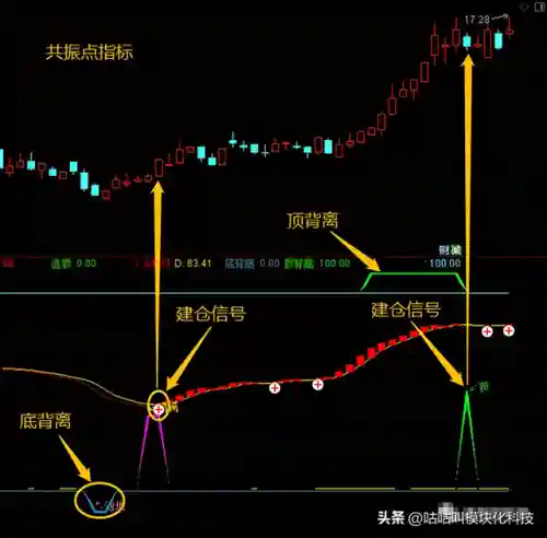 打共鸣阵容搭配插图