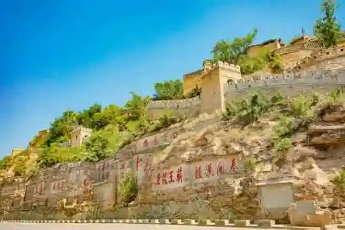 群雕阵容搭配图表插图9