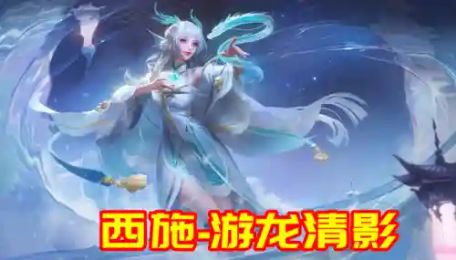 龙女西施搭配阵容插图