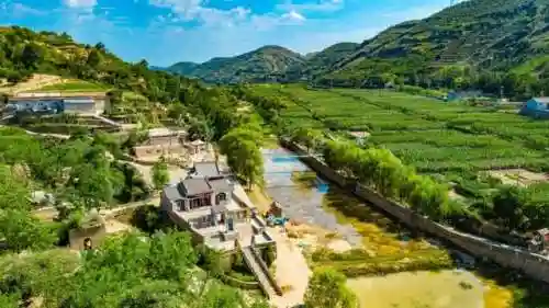 群雕阵容搭配图表插图23