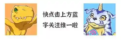 闪光最强阵容搭配插图