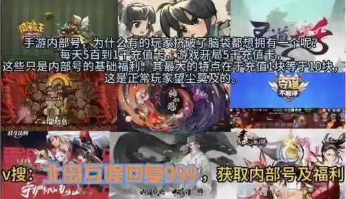 寻道回合阵容搭配(道友请留步推荐阵容)插图2