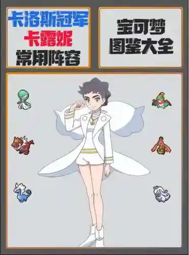 宝可梦各系阵容搭配(神奇宝贝最强阵容平民)插图4