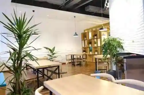 工作餐阵容搭配图文(员工餐菜式)插图8