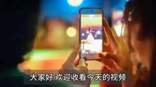 王者之路打僵尸阵容搭配(末世王者搭配阵容)插图