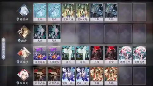 卡牌占卜推荐阵容搭配(我叫mt平民橙卡阵容)