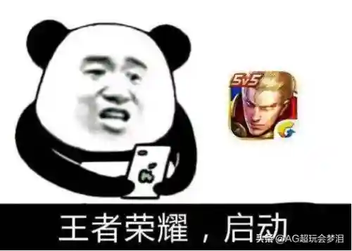 云歌适合阵容搭配吗(拳魂觉醒平民最适合阵容)插图