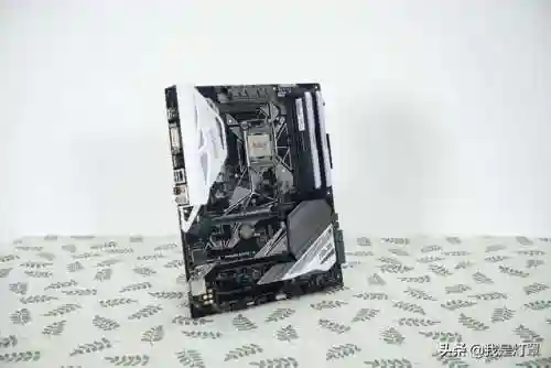 什么阵容能打黑白魔改(魔种阵容怎么搭配)插图1