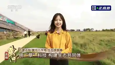 策马三国志蛊惑人心阵容(少年三国志阵容推荐)插图8