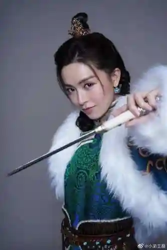 新倚天屠龙记阵容确定吗(新倚天屠龙记游戏完美攻略)插图5