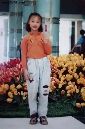 2007年中国女排阵容(中国现役女排名单)插图4