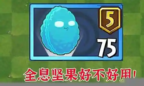 全息坚果阵容搭配