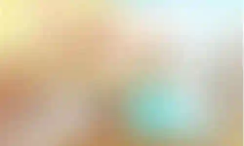 前期老虎搭配什么阵容