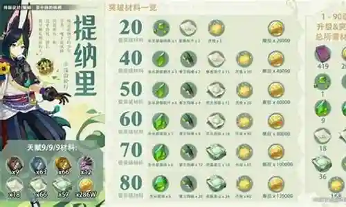 提那里搭配什么阵容插图