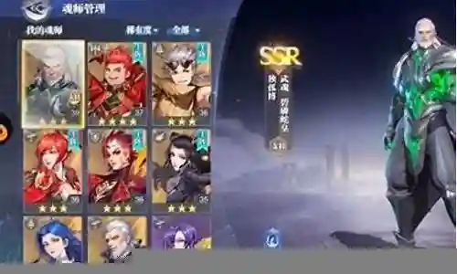 杨无敌搭配什么阵容插图
