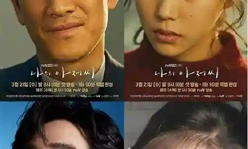 我的大叔华丽阵容搭配插图