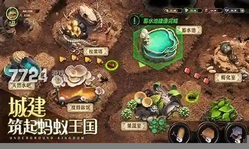 蚁族崛起四本阵容搭配