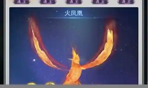凤凰武魂搭配阵容