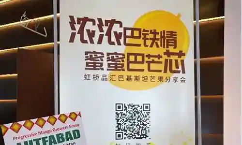 水果之王最佳搭配阵容插图