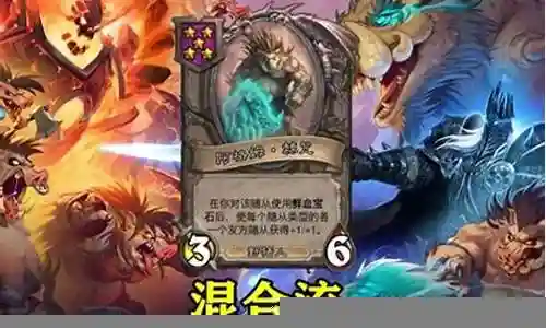 超级野猪阵容搭配