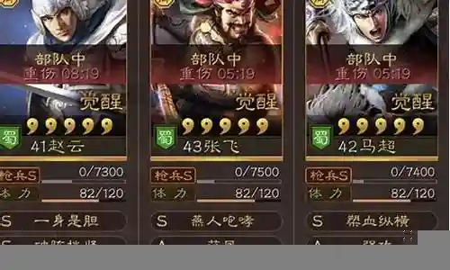 马可用什么阵容搭配插图