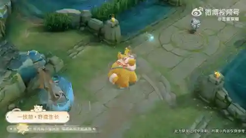 无皮肤阵容(西洋棋皮肤最佳阵容)插图5