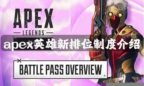 apex19阵容搭配插图