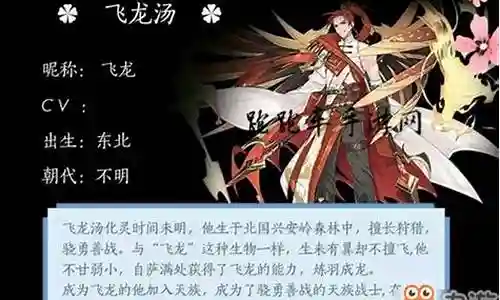 飞龙神仙阵容搭配插图
