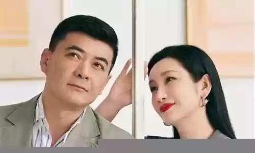 妻子四阵容插图