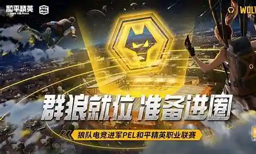 和平精英狼队阵容搭配插图
