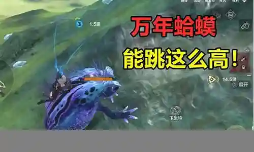 吞天蛤蟆搭配什么阵容插图