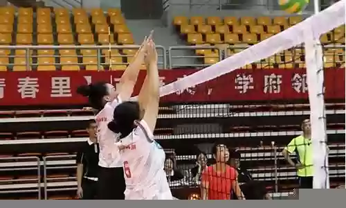 排球的阵容配备有插图