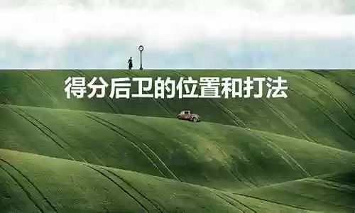 七号得分后卫阵容搭配插图