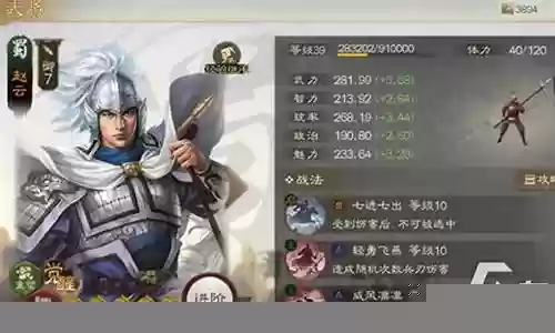 霸业手游姜维阵容搭配插图