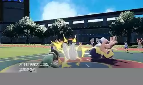 宝可梦对战阵容插图