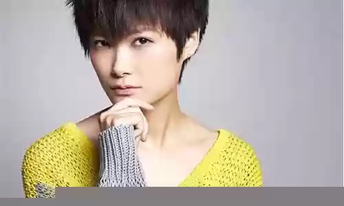 李宇春阵容插图