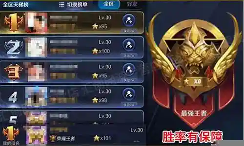 代练豪华阵容搭配图片插图