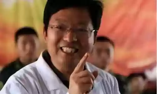 杨永信阵容插图