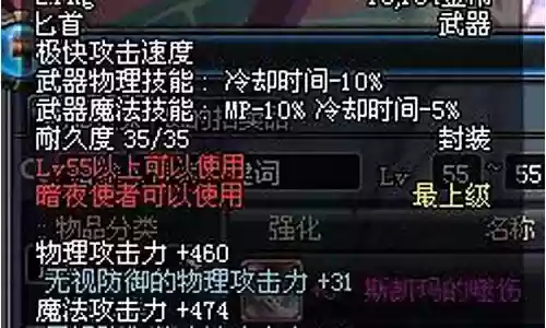 刺客穿什么装备好插图