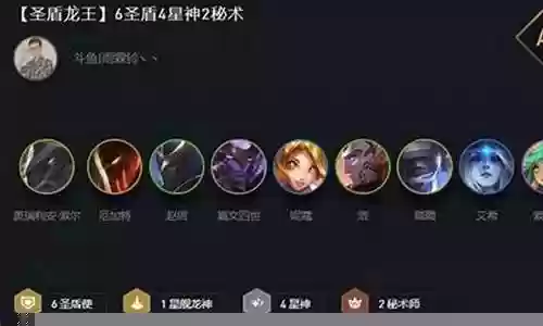 云顶之亦圣盾龙王阵容插图