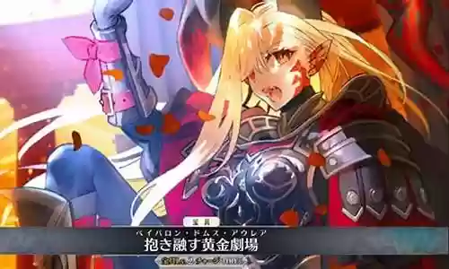 fgo金闪闪技能先升什么插图