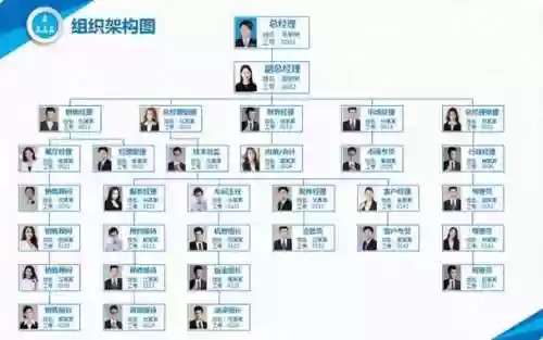 人员阵容阵容分析图怎么画插图