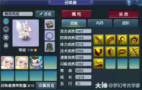梦幻西游109任务攻宠什么好插图1