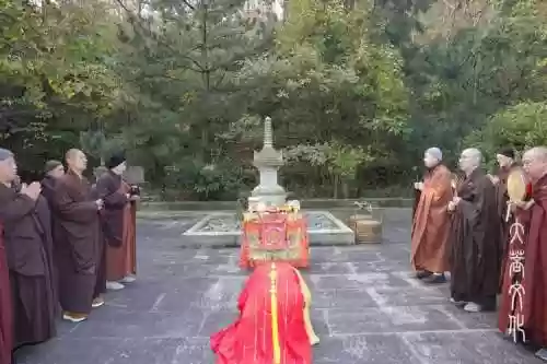 普陀灵塔阵容插图1