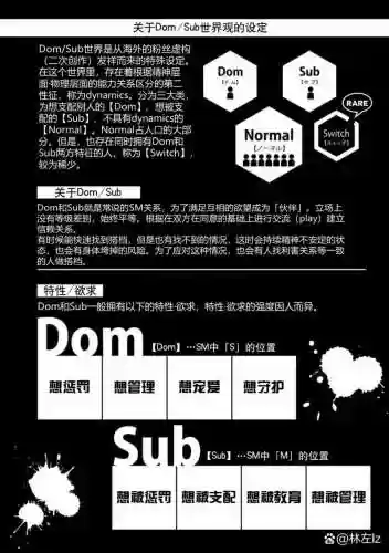 dom阵容名单插图1