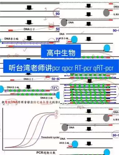 pcr阵容攻略插图1