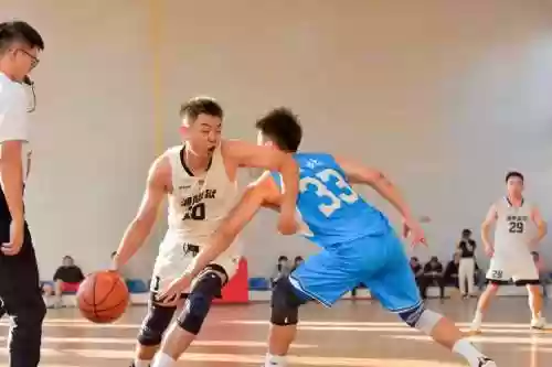 省直决赛阵容插图