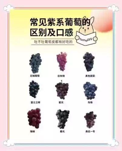 葡萄最新阵容插图